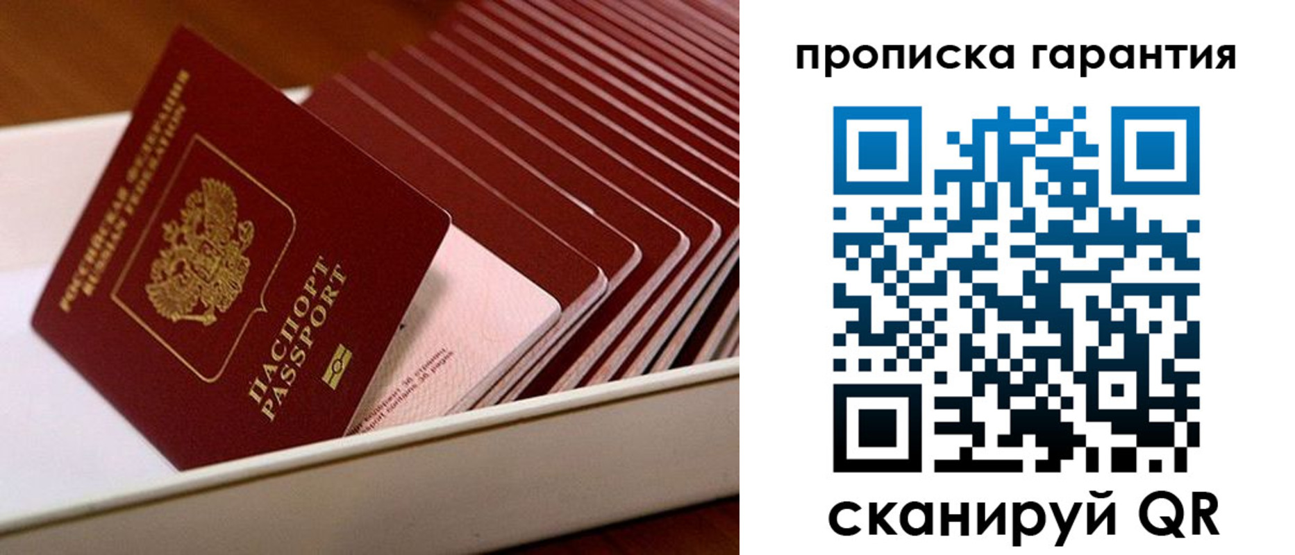 прописка поиск в Александровске